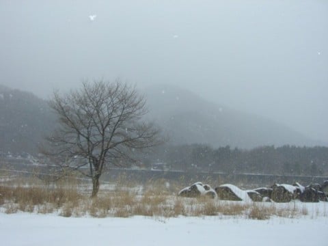 山梨の雪景色